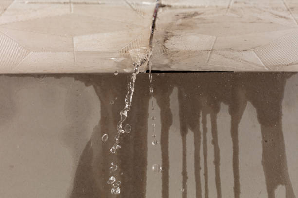 Professional Sewage Cleanup technician working in Rudolph, WI